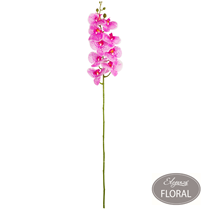 Eleganza Hot Pink Phaleonopsis Orchid Stem