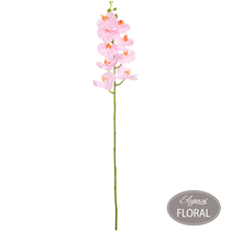 Eleganza Light Pink Phaleonopsis Orchid Stem