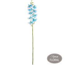 Eleganza Blue Phaleonopsis Orchid Stem