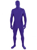 Adult Purple Partysuit - Large